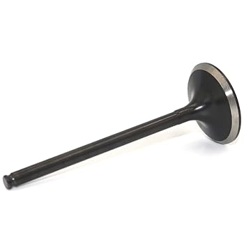 OEM Kawasaki KLX140 Exhaust Valve #12005-0725
