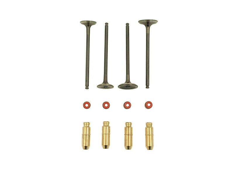 Daytona Anima 190 4V Stainless Steel Valve Upgrade Kit!