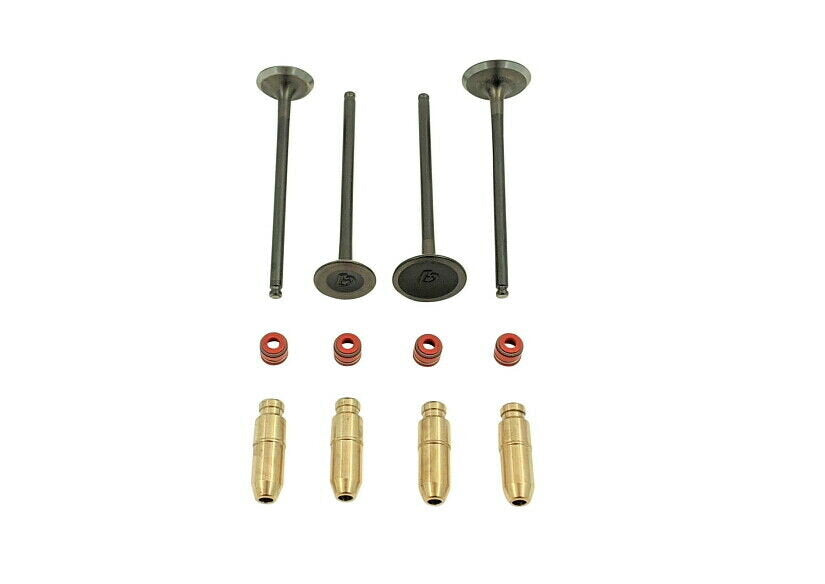 Daytona Anima 190 4V Stainless Steel Valve Upgrade Kit!