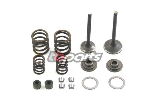 TB Parts Valve Kit – ZS Head