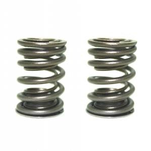 DCR Dual Spring Kit - Honda Grom/CRF110