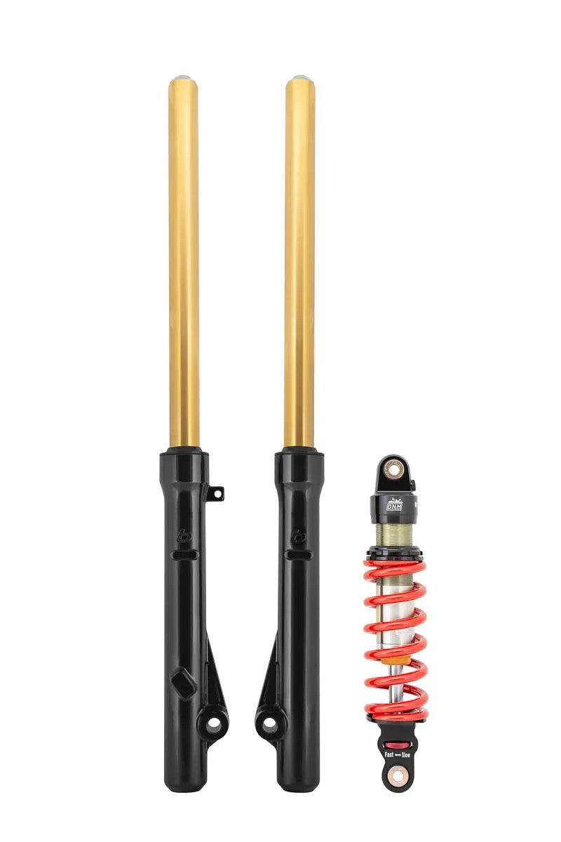 TB Parts Gold Suspension Kit - CRF110 - DNM 290mm 350lb