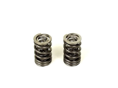 BBR High Performance Cam and Valve Spring Kit